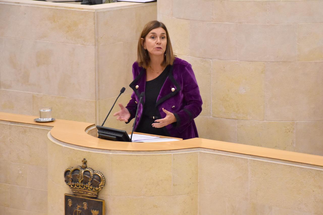 La candidata del PRC a la Presidencia de Cantabria, Paula Fernández Viaña, en el Parlamento regional.