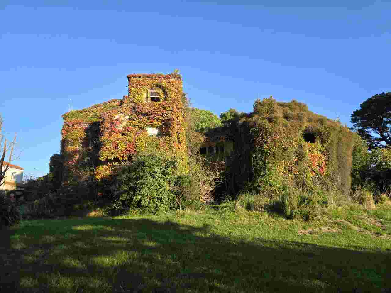 Imagen de la Casa Rosales
