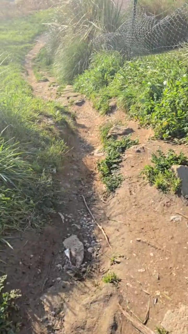 Estado actual del camino