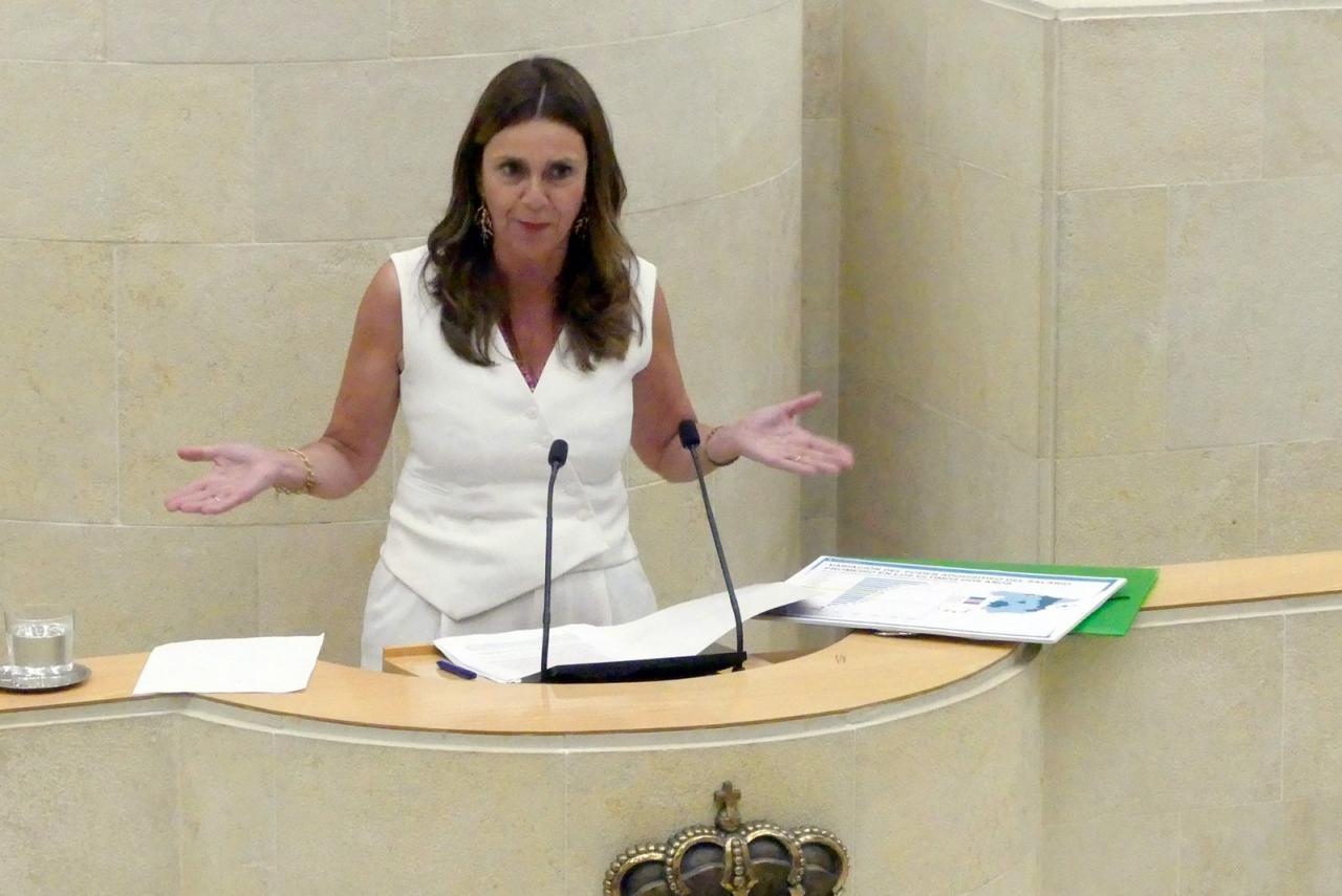 Paula Fernández en un momento de su intervención.