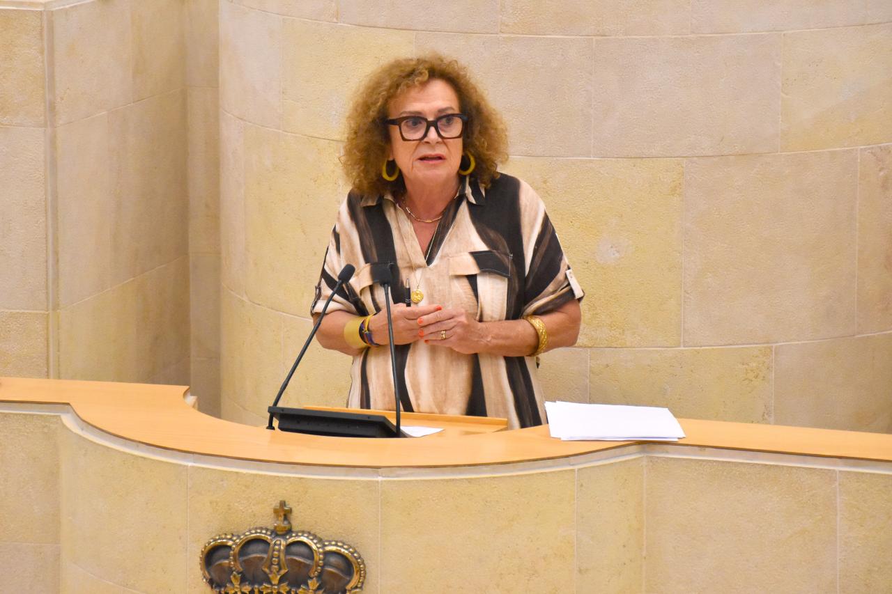 Teresa Noceda en la tribuna del Parlamento