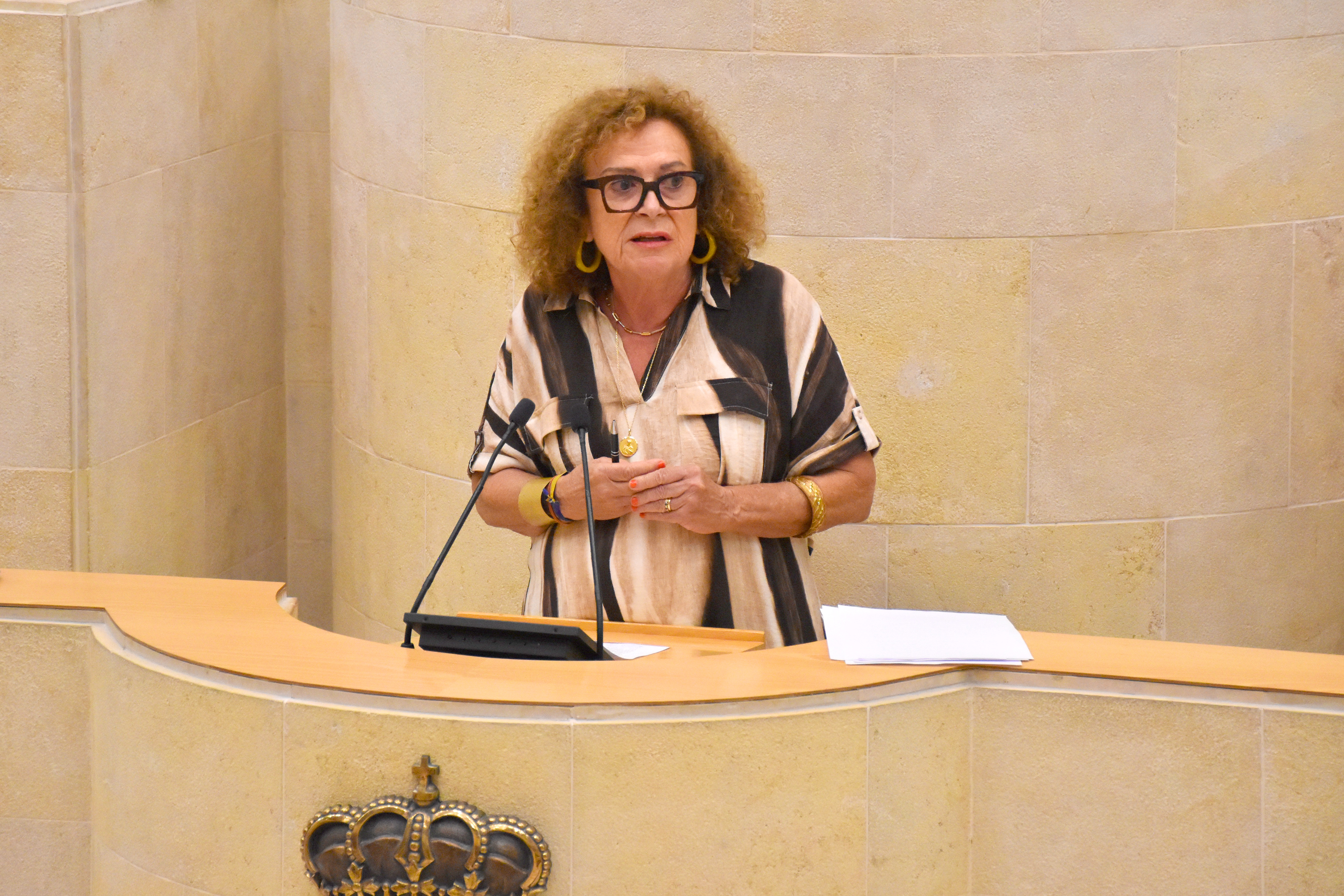Teresa Noceda en la tribuna del Parlamento